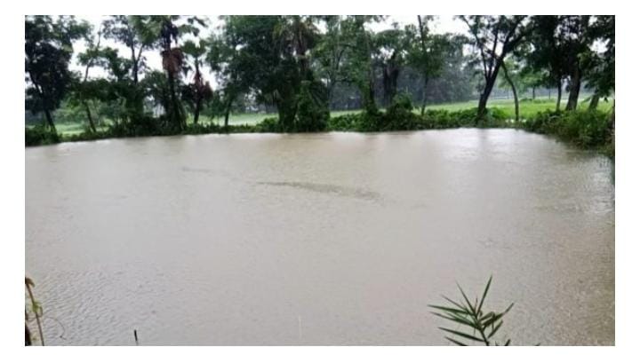 দুমকি উপজেলায়, অবিরাম বর্ষণে বিস্তীর্ণ এলাকা প্লাবিত *কয়েকশ’ হেক্টর জমির বীজতলা ক্ষতিগ্রস্থ