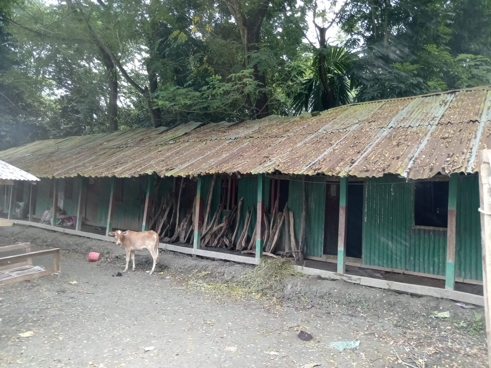 দুমকির চর বয়রায় , অবকাঠামো থাকলেও নেই শিক্ষক-শিক্ষার্থী