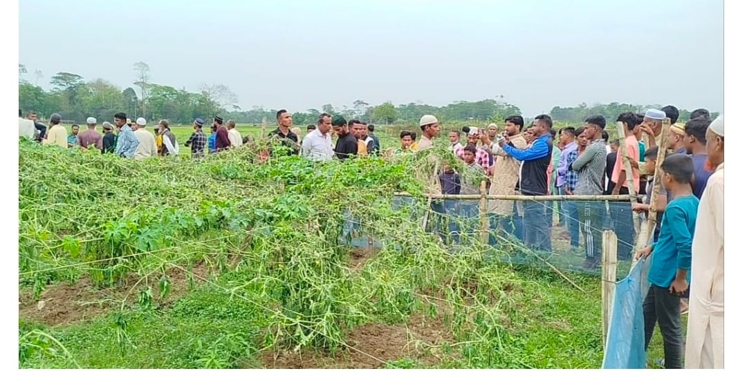 দোয়ারাবাজারে চুরির সাক্ষী দেওয়ায় বৃদ্ধকে ফাঁসানোর অভিযোগ, শিশুকে নিয়ে ধর্ষণচেষ্টা মামলা ও ফসল লুটপাট