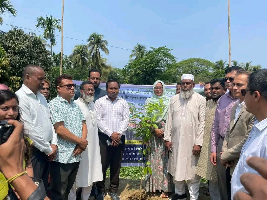 দিরাইয়ে নির্বাচনী অঙ্গীকার বাস্তবায়নে বিএনপির বৃহৎ বৃক্ষরোপণ কর্মসূচি