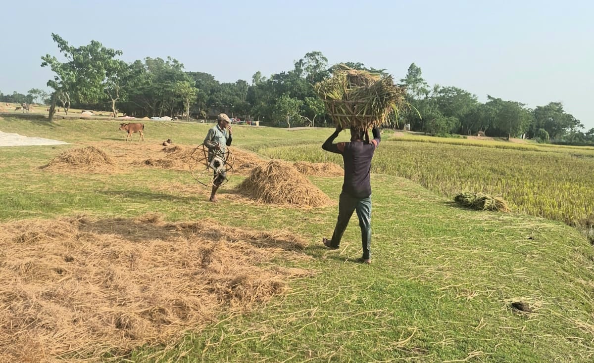 কৃষকের গুরুত্ব ও আমাদের জীবনব্যবস্থায় তার অপরিহার্যতা। 