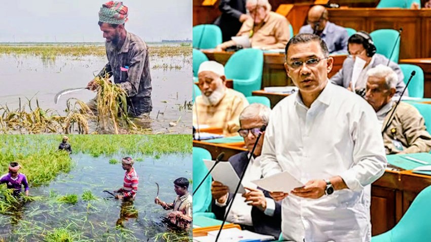 স্বজনপ্রীতি ও দলীয়করণের বেড়াজালে দিরাইয়ের সরকারি কৃষক তালিকা: প্রকৃত কৃষকদের ক্ষোভ, তদন্ত ছাড়াই বাদ পড়ায় বিতর্ক